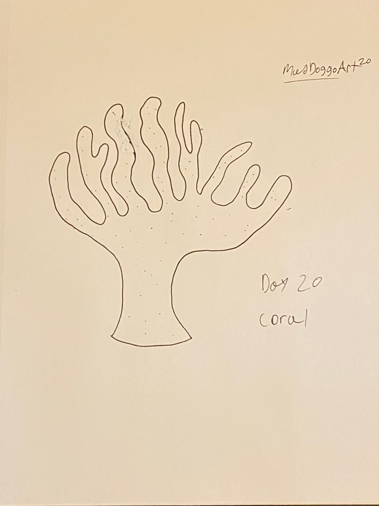Day 20 Coral