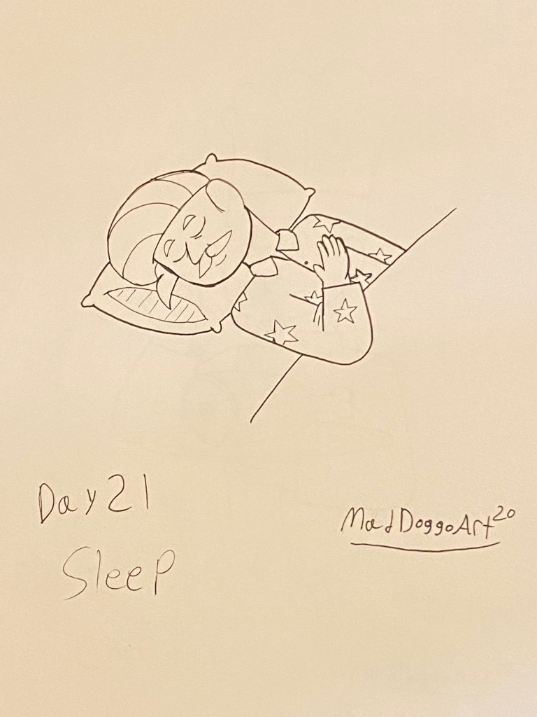 Day 21 Sleep