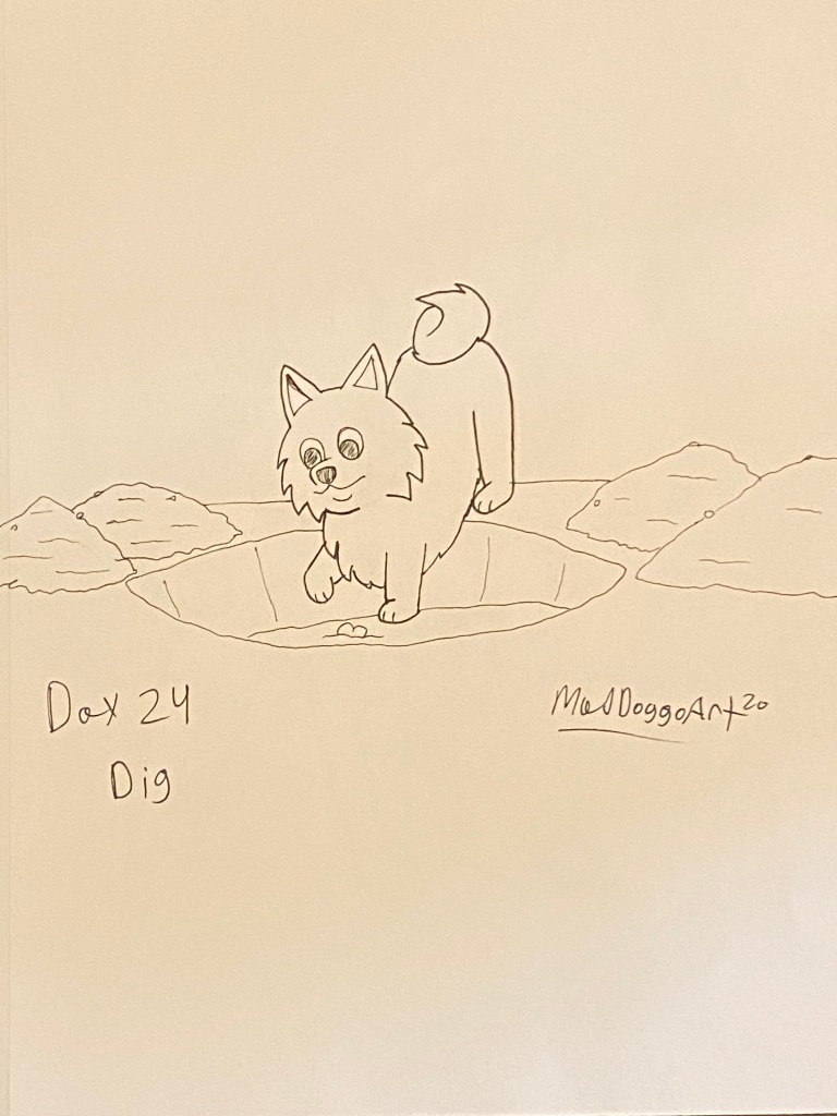 Day 24 Dig