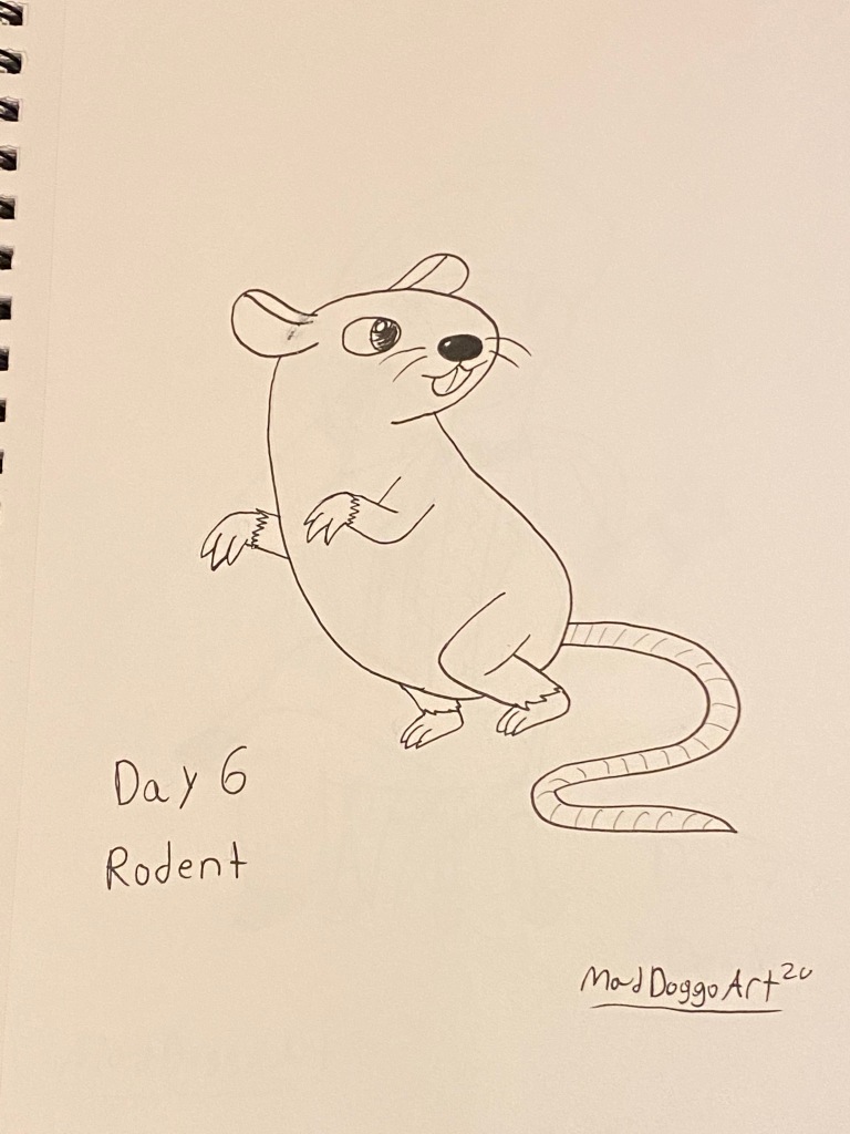 Day 6 Rodent